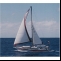 Yacht Anderer Reinke 12 M (reduced price) Details